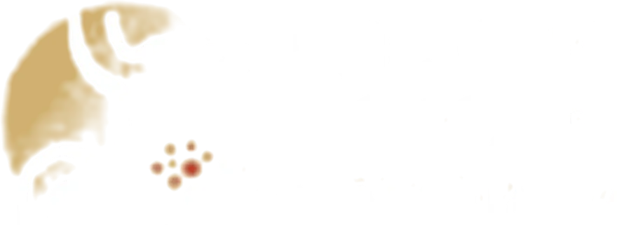 Dra. Luciana Fossari – Gastropediatra